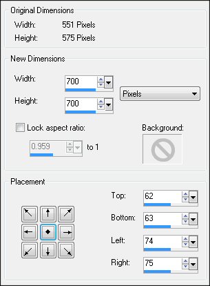 canvas size