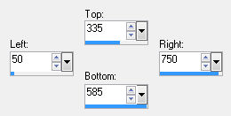 custom selection