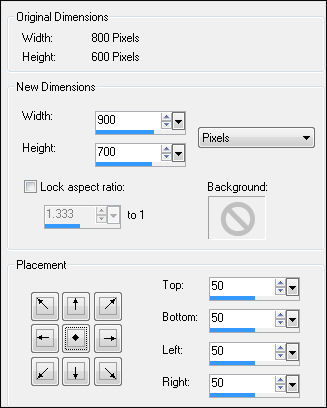 canvas size