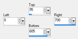 custom selection