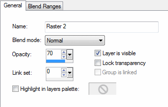 layer properties
