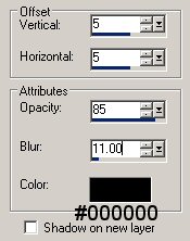Drop shadow setting