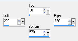 custom selection