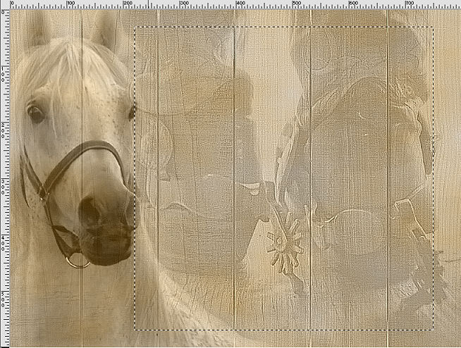 progress shot