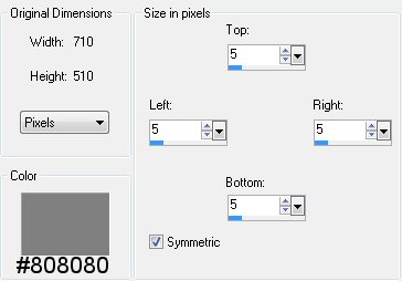 border setting