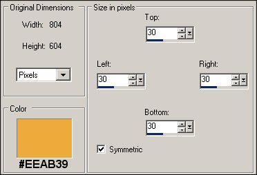 border setting