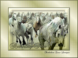 Running Free